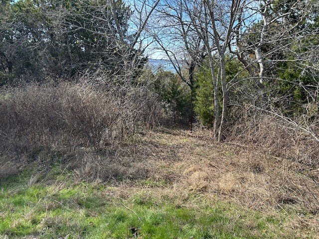 Picture 8