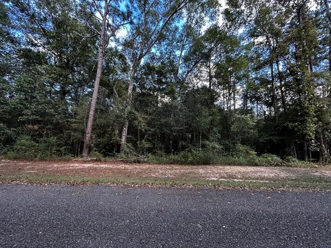 Lots/Land, Carriere, MS