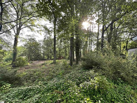 Lots/Land, Greenville, SC