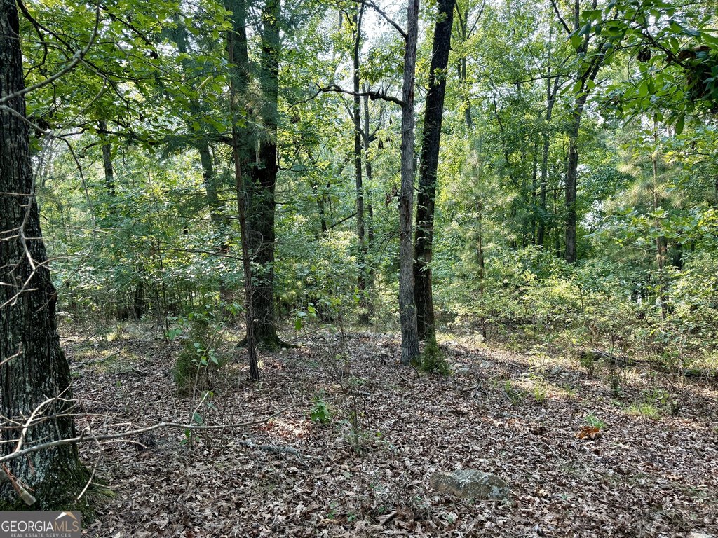 Picture 3