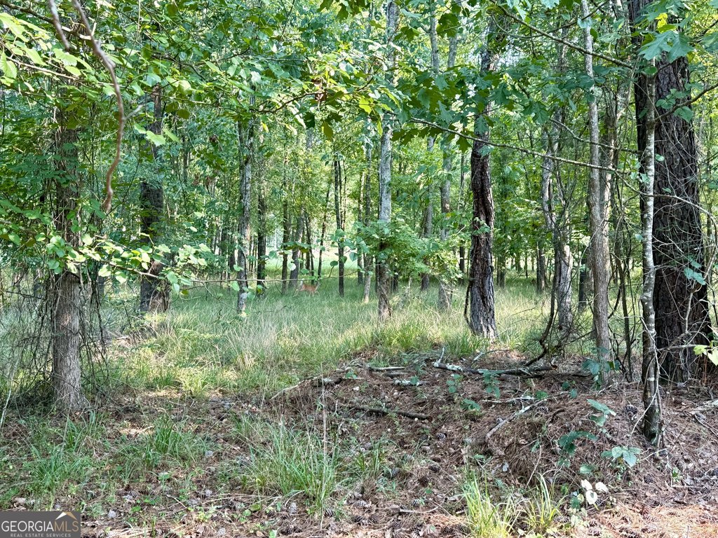 Picture 10
