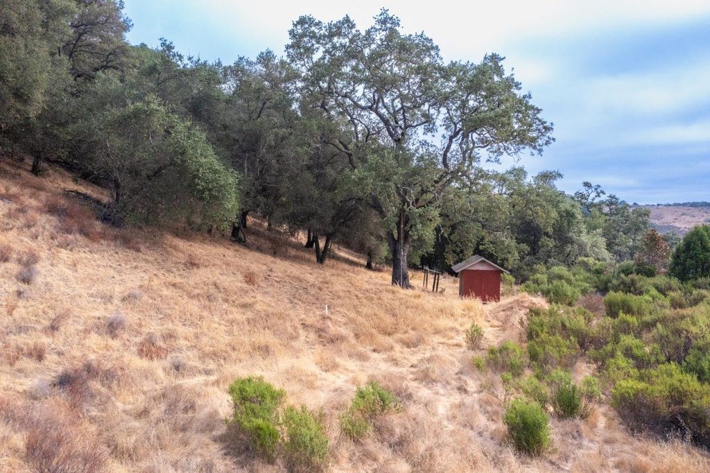 Picture 9
