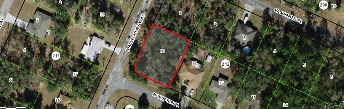 Citrus Springs Corner Lot
