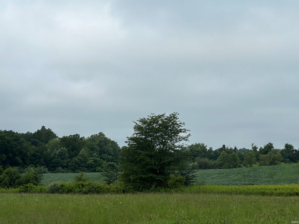 Picture 7
