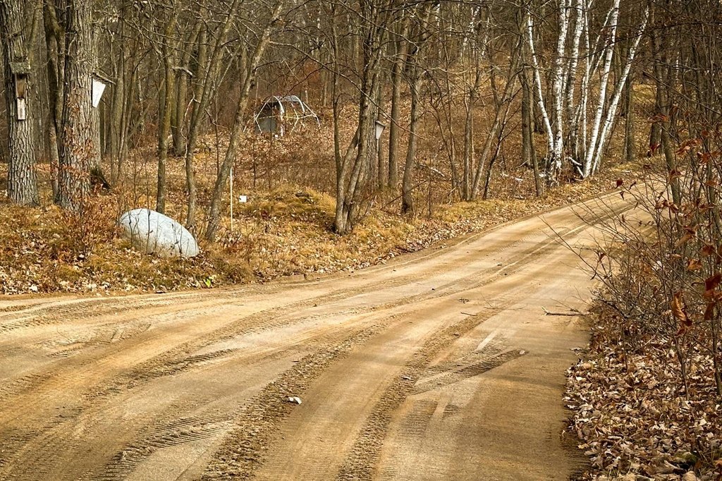 Picture 19