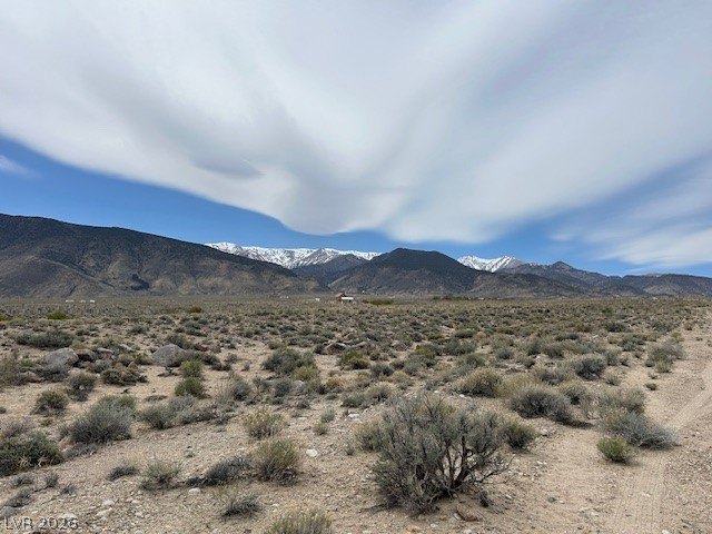 Dyer, NV Land For Sale