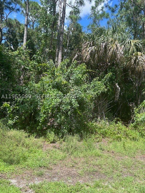 Picture 2