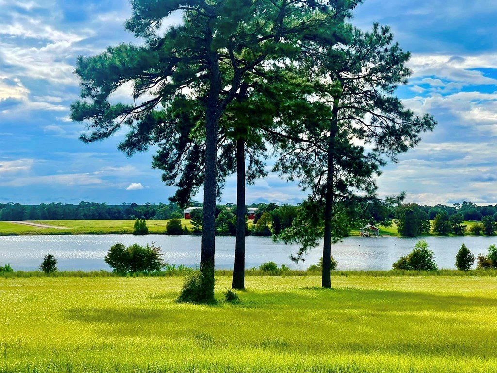 Picture 9