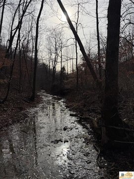 106 Acres of Kentucky Land