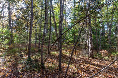Land, Tamworth, NH
