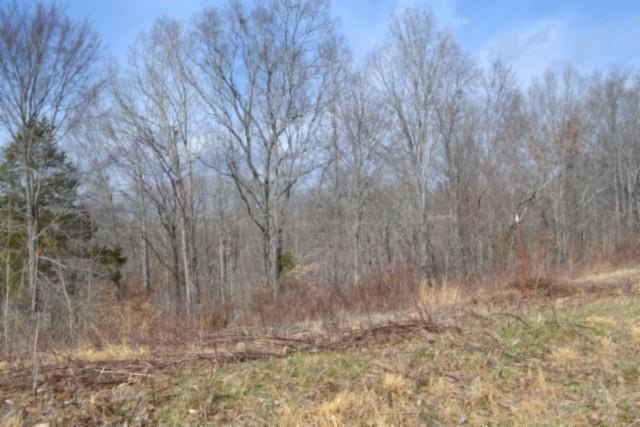 Land Near Center Hill Lake