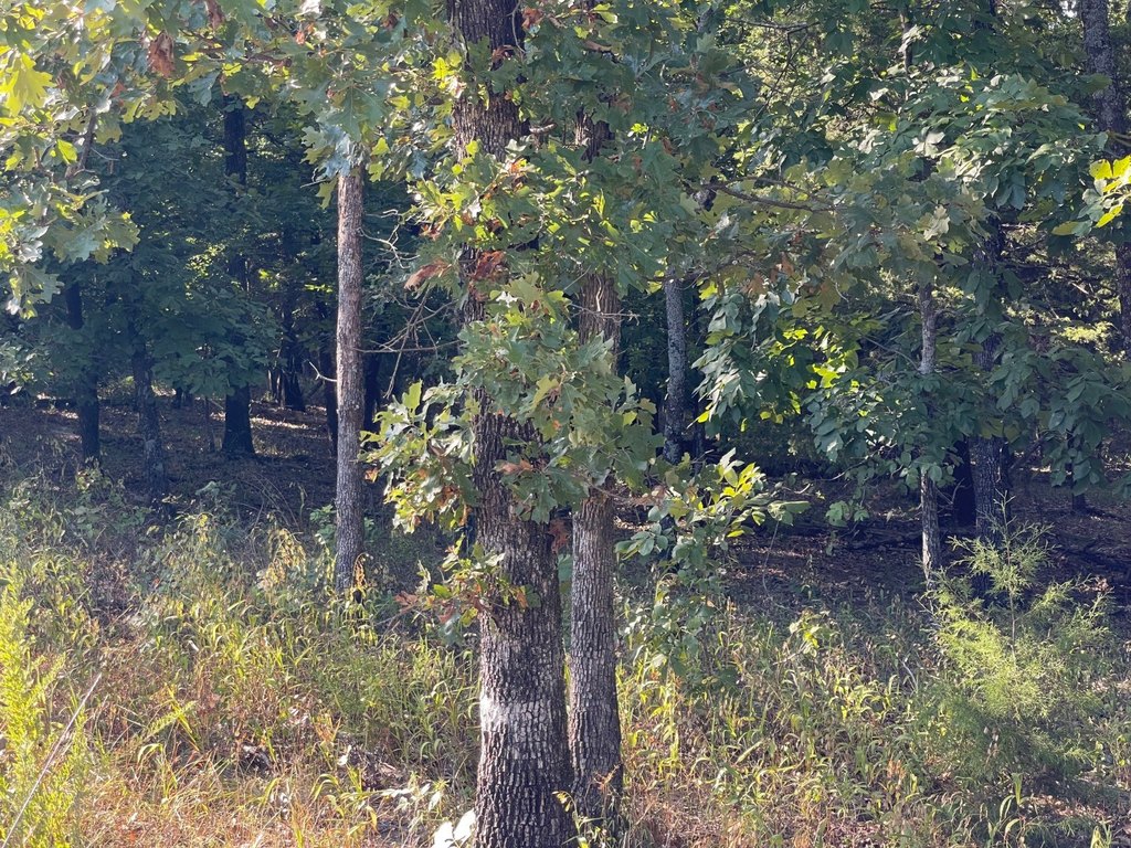 Picture 12