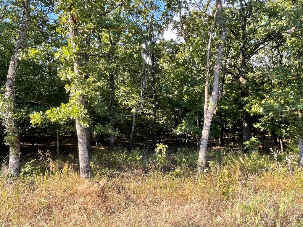Picture 19