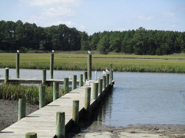 Picture 5