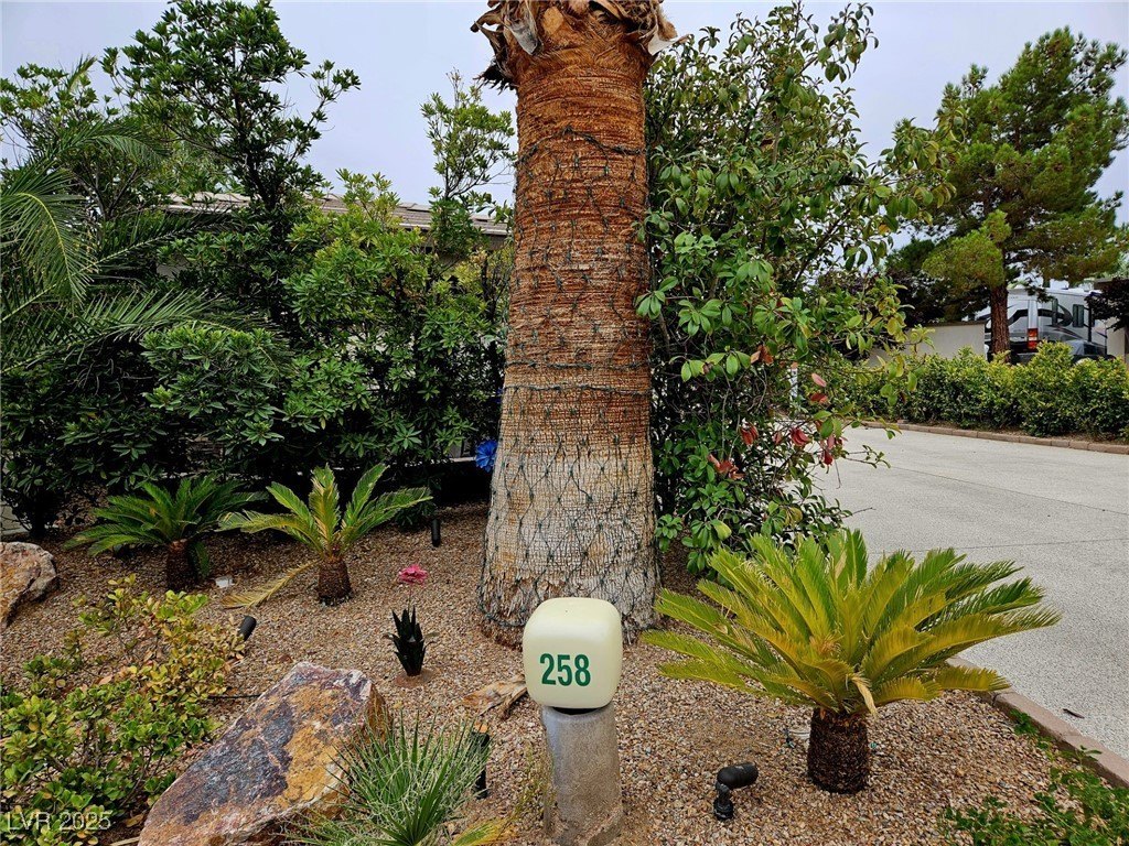 Picture 25