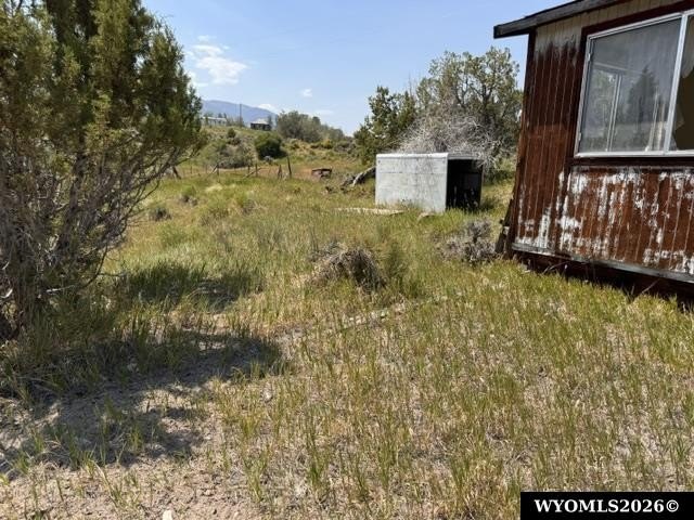 Picture 6