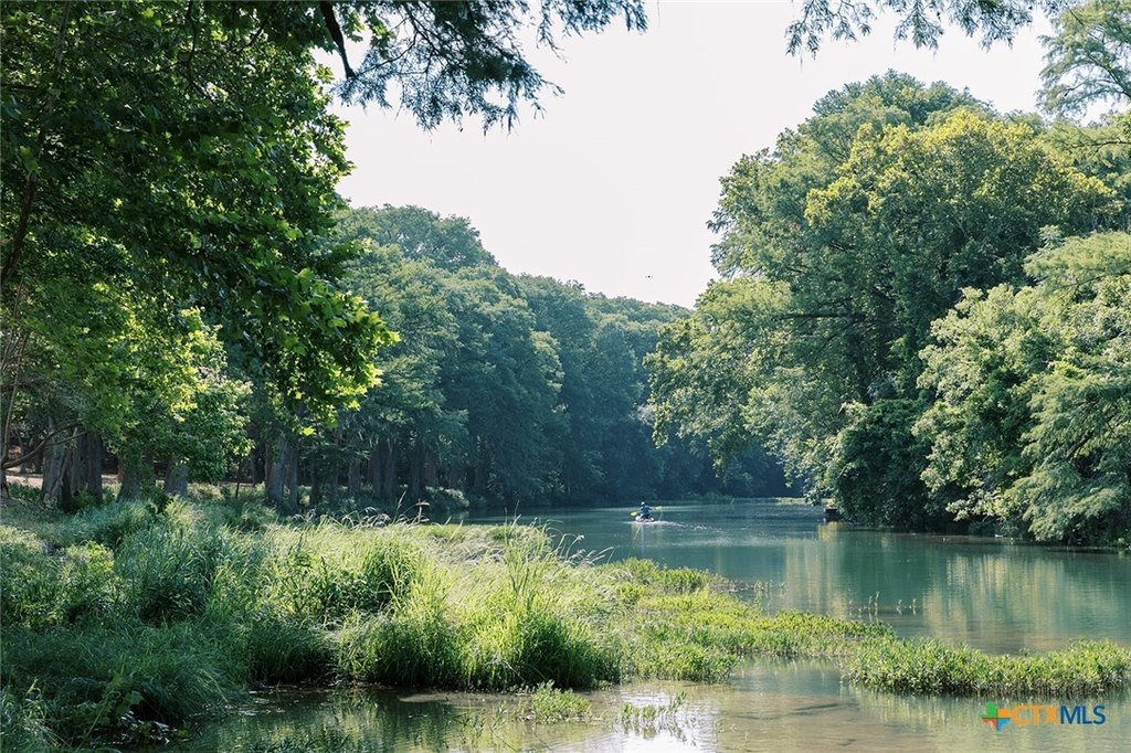 Picture 25