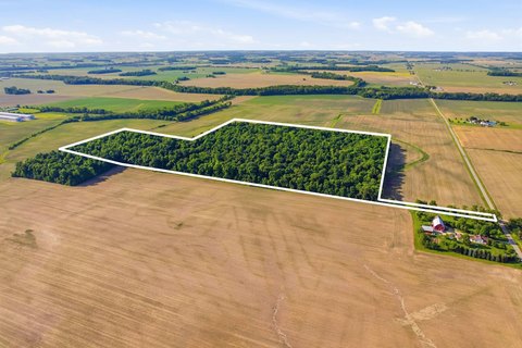 Randolph County Wooded Hunting Land
