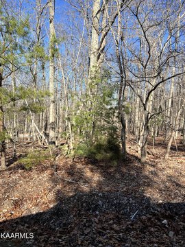 Crossville, TN Wooded Lot