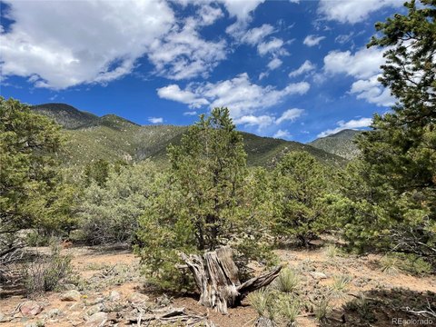 Unimproved Land - Crestone, CO