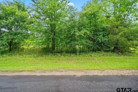 Acreage in Ben Wheeler, TX