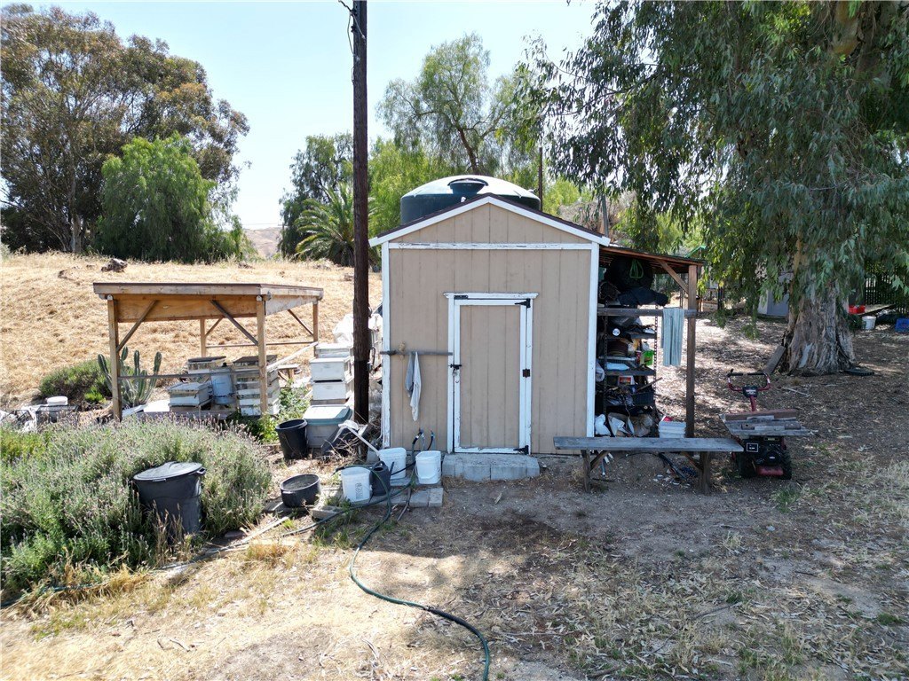 Picture 16