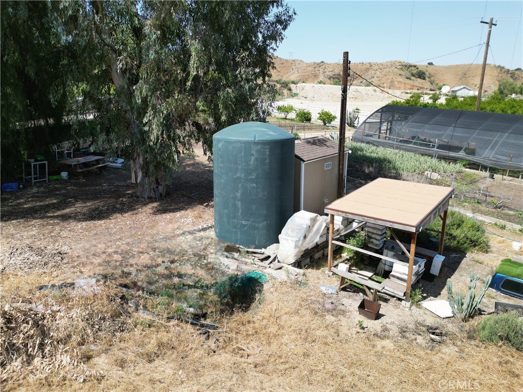 Picture 15