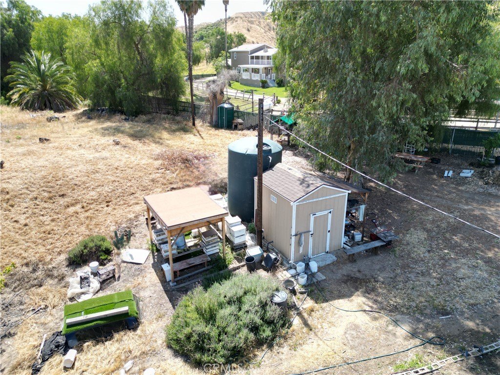 Picture 5