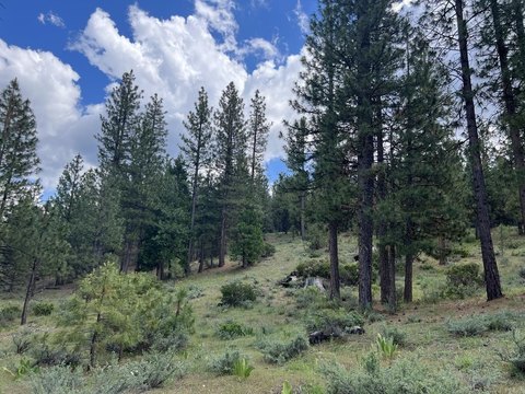 Land in Nakoma Golf Community