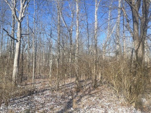 Land Near Lake Tansi
