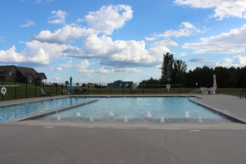 Picture 19