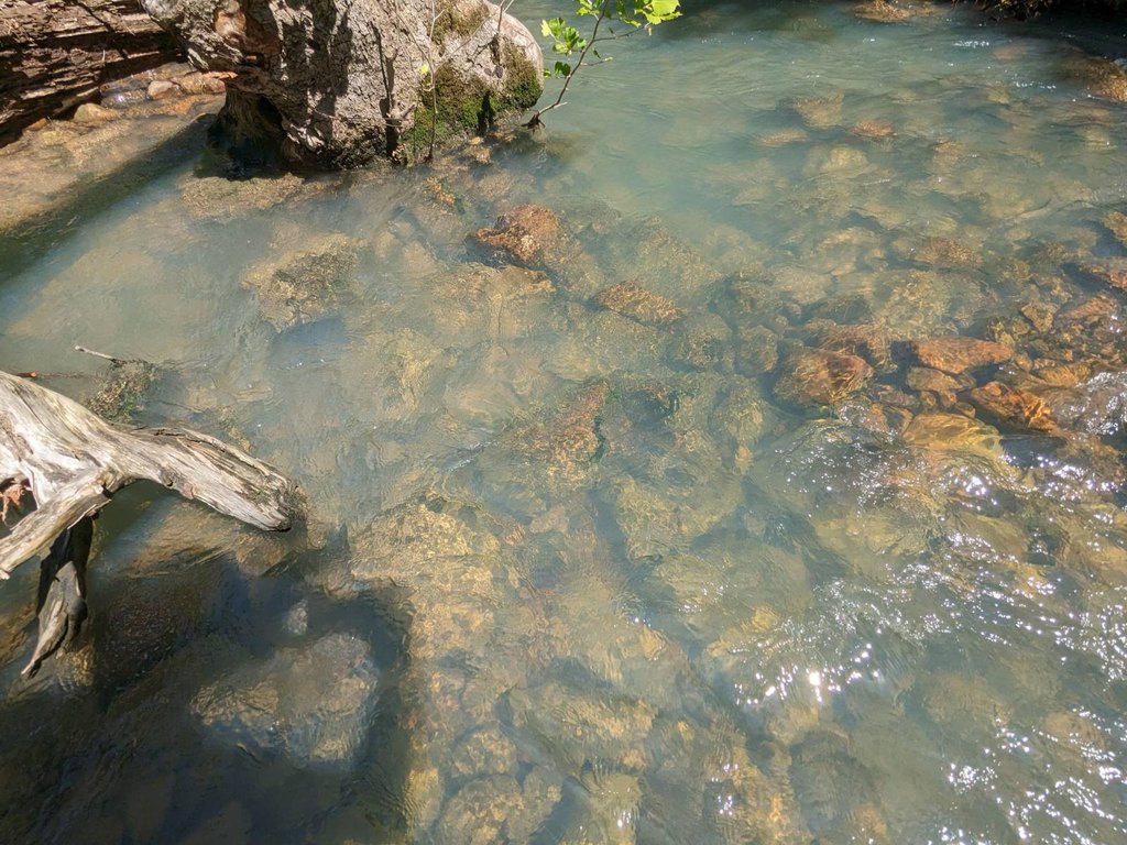 Picture 14