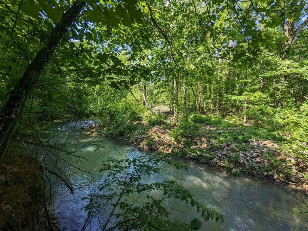 Picture 16