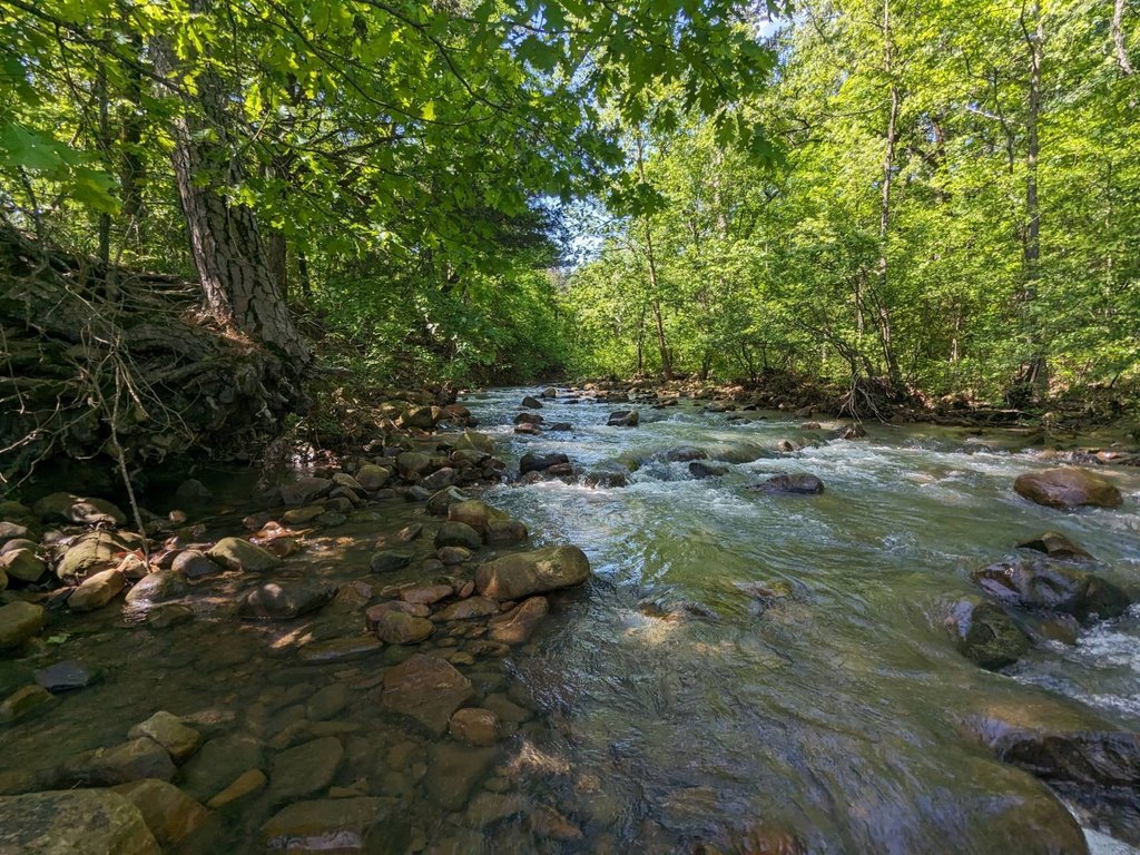 Picture 21