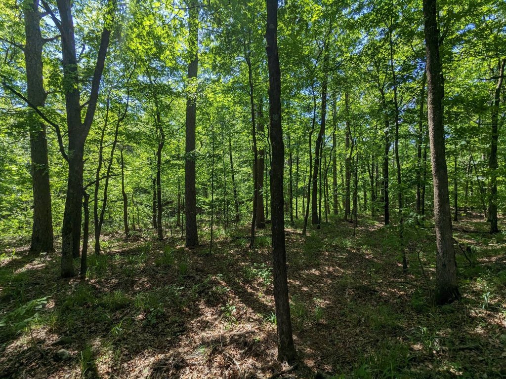 Picture 28