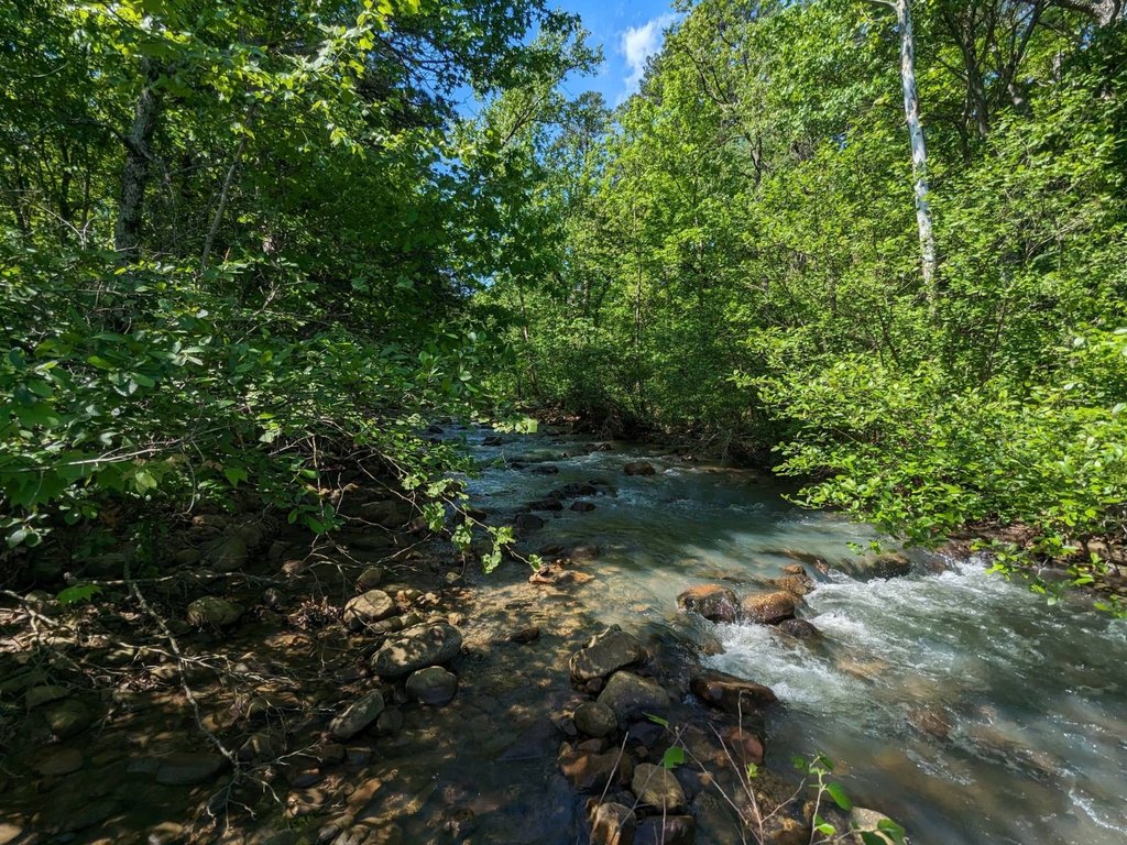 Picture 22