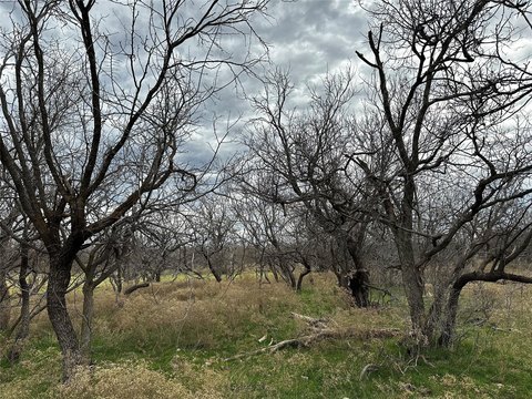 Pasture and Timber Tract