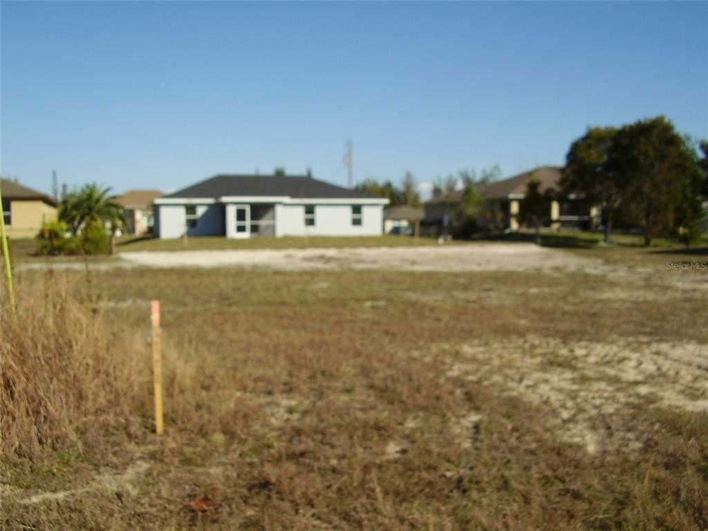 Picture 4