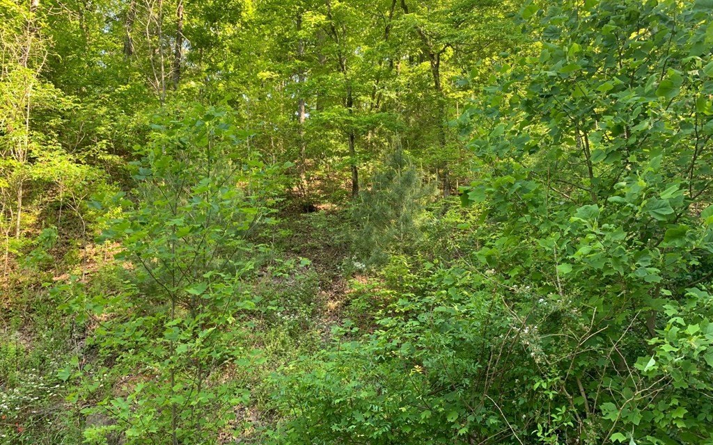 Picture 17