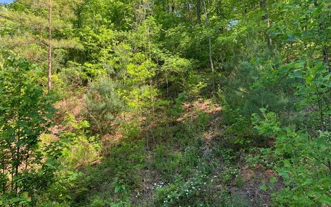 Wooded Lot in Gated Subdivision