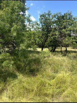 Lake Brownwood RV Lot