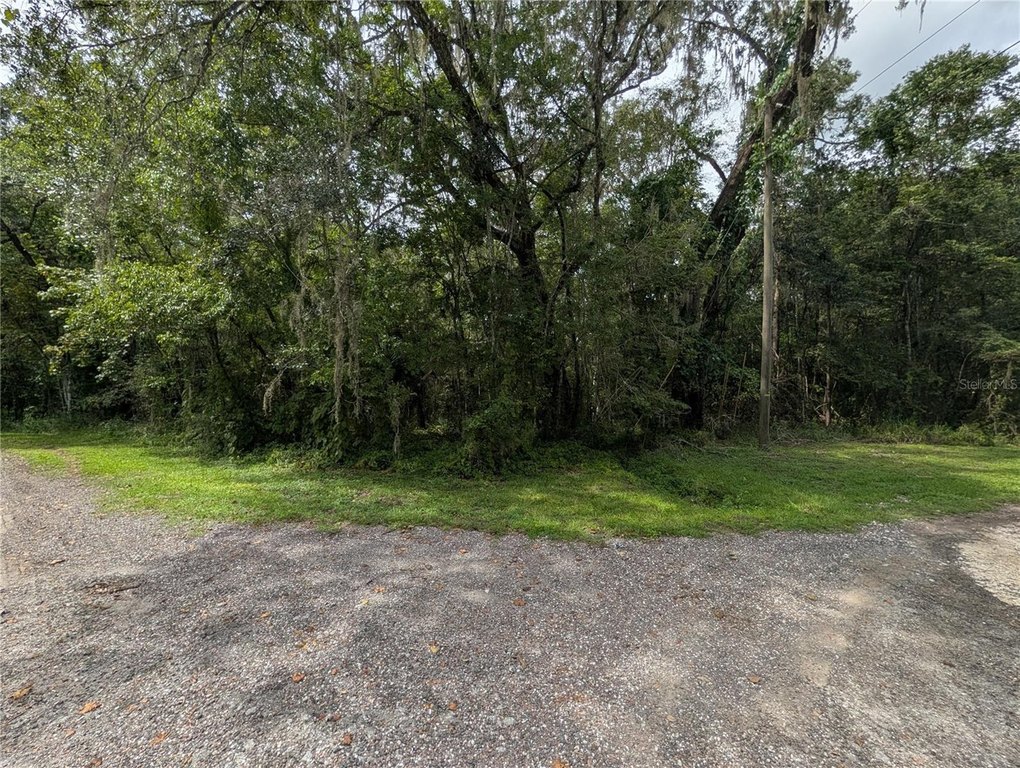 Picture 21