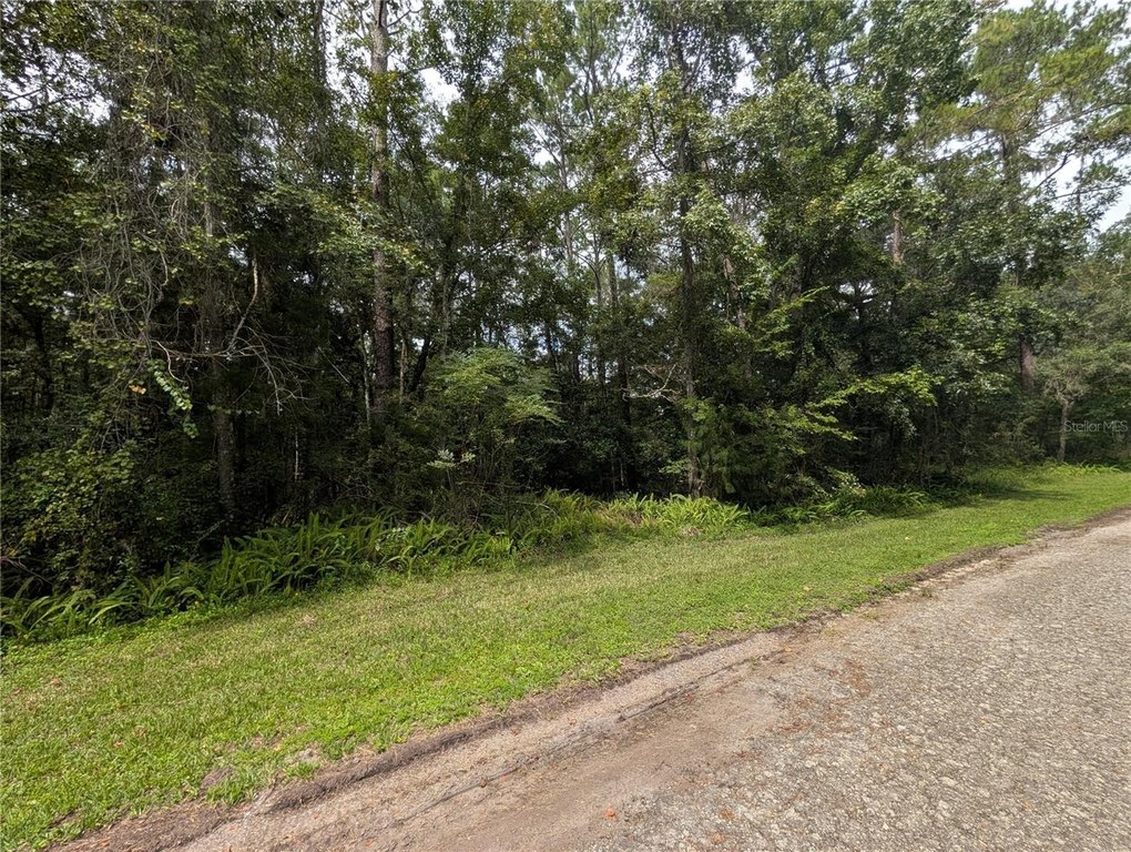 Picture 16