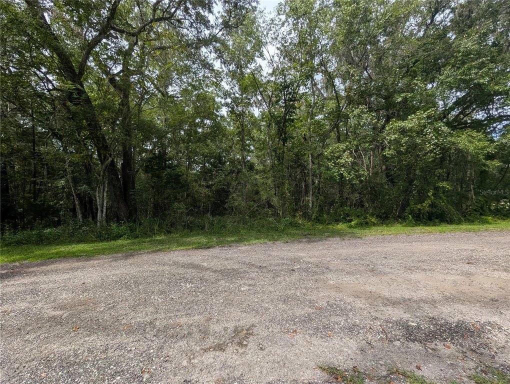 Picture 20