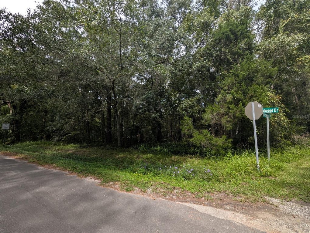Picture 15