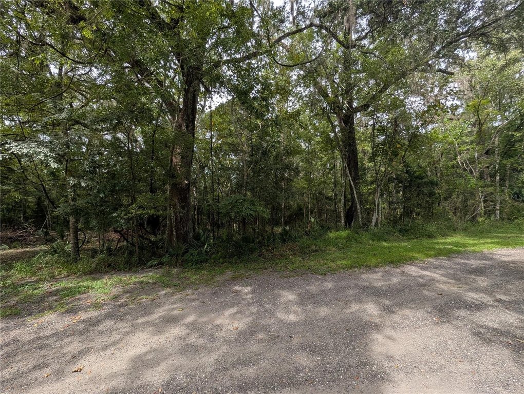 Picture 19