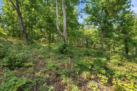 Vacant Land, Gallipolis, OH
