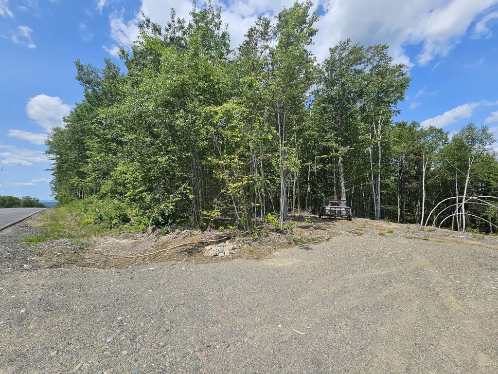 Picture 9