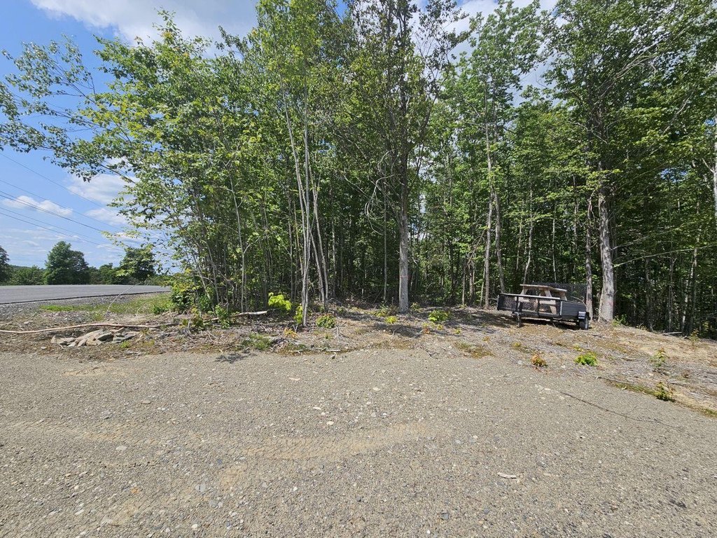 Picture 8