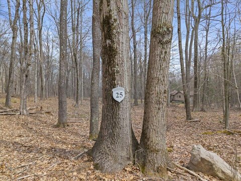 Pocono Lake Acreage Opportunity